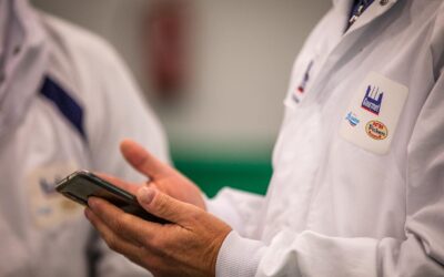 Así son las ‘pechuguitas’ valencianas con 95% de pollo: el producto que ha lanzado Gourmet S.A.