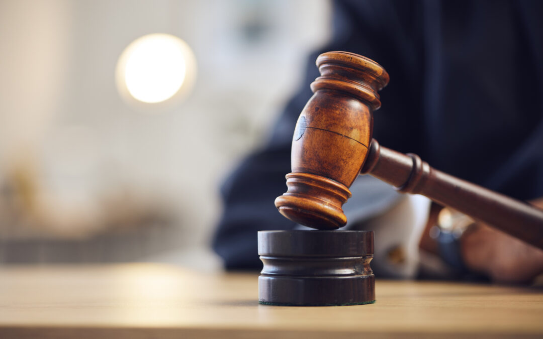 Nace el Observatorio del Derecho Penal Administrativo, un nuevo foro para el análisis jurídico y académico
